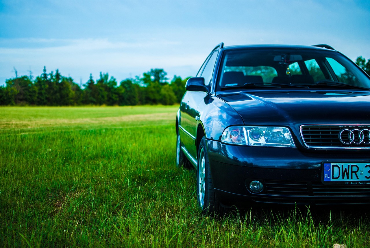 gallery-img-06 audi, a4, meadow, car wallpapers, car, sky, grass, transport, cars, tourism, nature, light, auto, car tires, landscapes, the door, reflector, universal, used, replacement lamp, automotive, wheels, personal, lacquer, polishing